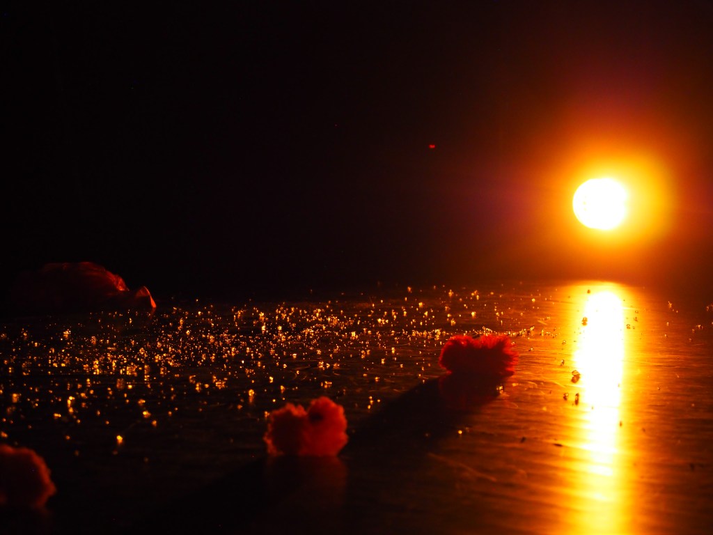 Sortie de résidence avec la compagnie Vibrisses – Réservoir&nbsp;Danse